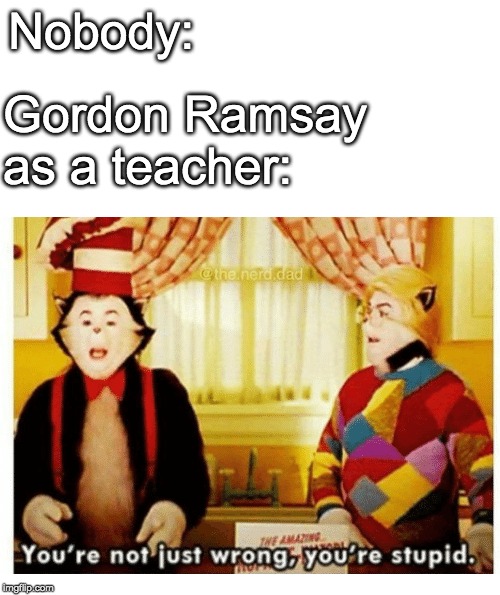 Nobody:; Gordon Ramsay as a teacher: | image tagged in you're not just wrong your stupid,gordon ramsay,teacher,cat in the hat | made w/ Imgflip meme maker