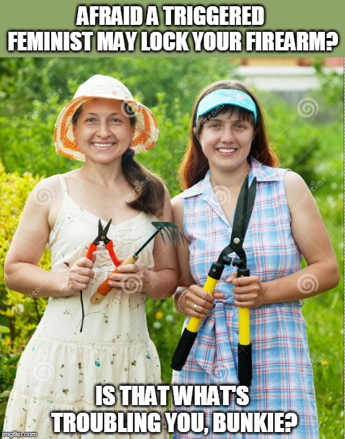 AFRAID A TRIGGERED FEMINIST MAY LOCK YOUR FIREARM? IS THAT WHAT'S TROUBLING YOU, BUNKIE? | image tagged in feminist,triggered feminist,castration,fear | made w/ Imgflip meme maker