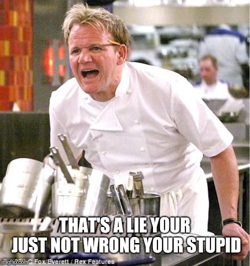 Chef Gordon Ramsay Meme | THAT'S A LIE YOUR JUST NOT WRONG YOUR STUPID | image tagged in memes,chef gordon ramsay | made w/ Imgflip meme maker