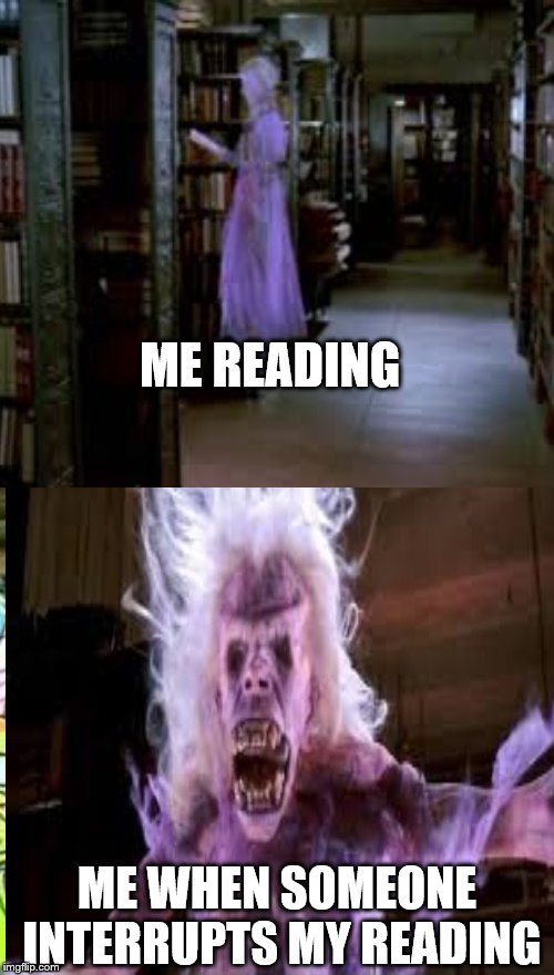 Don't Do It!!! | ME READING; ME WHEN SOMEONE INTERRUPTS MY READING | image tagged in ghostbusters,reading | made w/ Imgflip meme maker