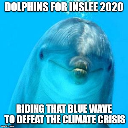 Dolphins for Jay Inslee 2020! | DOLPHINS FOR INSLEE 2020; RIDING THAT BLUE WAVE TO DEFEAT THE CLIMATE CRISIS | image tagged in dolphin don't play games,inslee,climate change,president,dolphin,dolphins | made w/ Imgflip meme maker
