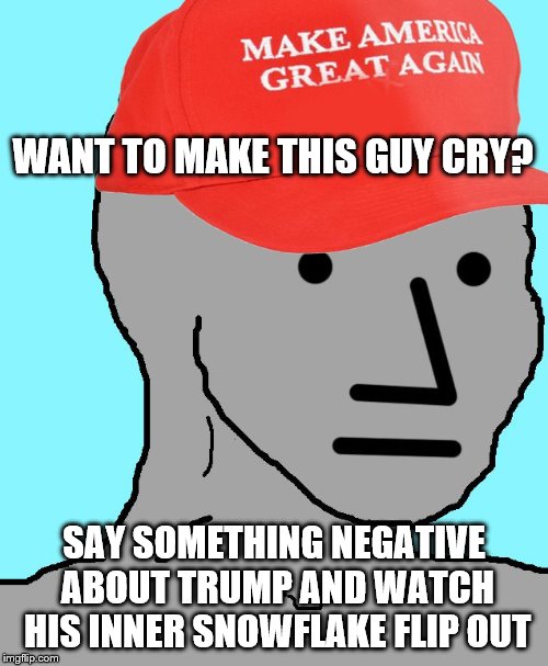 MAGA NPC | WANT TO MAKE THIS GUY CRY? SAY SOMETHING NEGATIVE ABOUT TRUMP AND WATCH HIS INNER SNOWFLAKE FLIP OUT | image tagged in maga npc | made w/ Imgflip meme maker