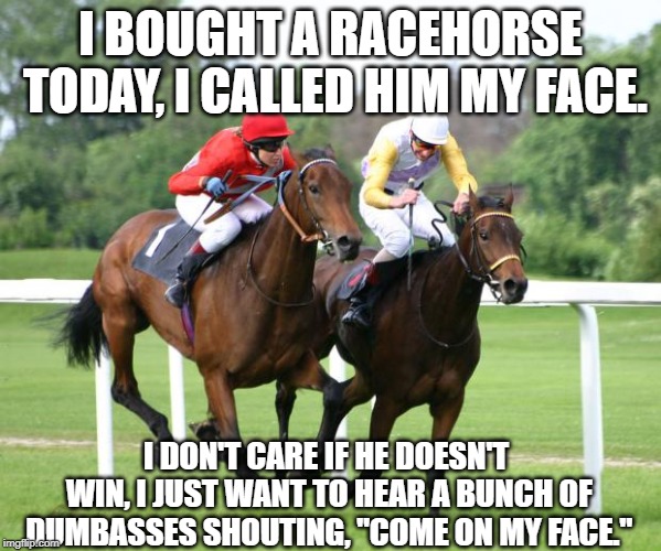 Horse of a Different Name | I BOUGHT A RACEHORSE TODAY, I CALLED HIM MY FACE. I DON'T CARE IF HE DOESN'T WIN, I JUST WANT TO HEAR A BUNCH 0F DUMBASSES SHOUTING, "COME ON MY FACE." | image tagged in two horses racing | made w/ Imgflip meme maker