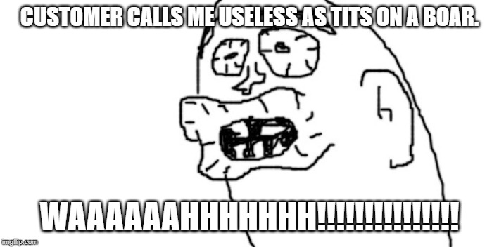 WAAAAHHHHHHHH | CUSTOMER CALLS ME USELESS AS TITS ON A BOAR. WAAAAAAHHHHHHH!!!!!!!!!!!!!!! | image tagged in waaaahhhhhhhh | made w/ Imgflip meme maker