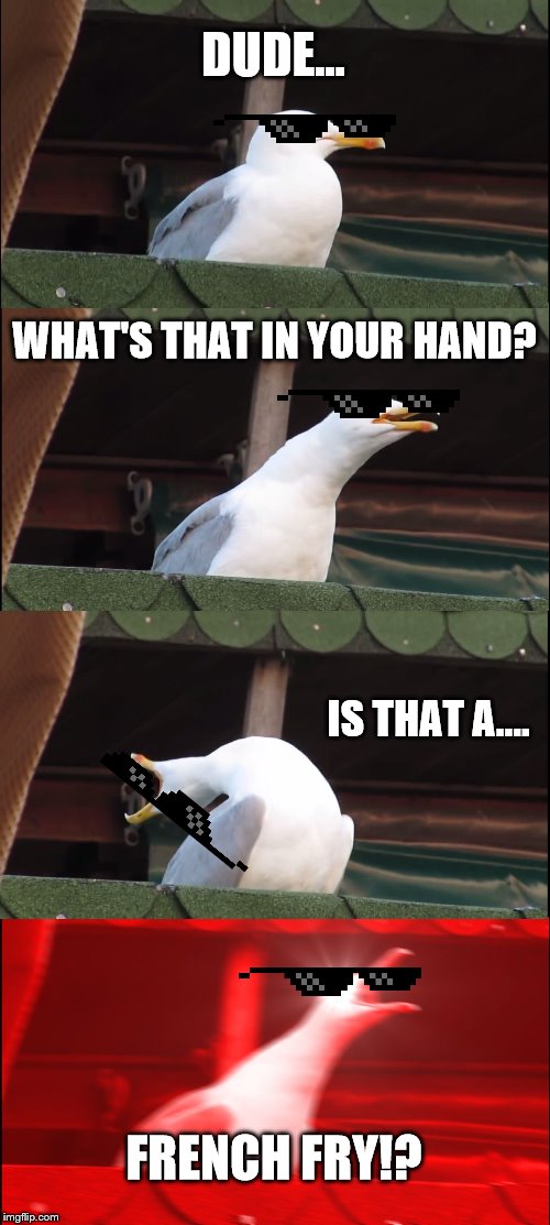 Inhaling Seagull Meme | DUDE... WHAT'S THAT IN YOUR HAND? IS THAT A.... FRENCH FRY!? | image tagged in memes,inhaling seagull | made w/ Imgflip meme maker