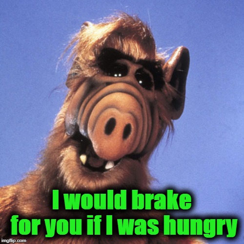 Alf  | I would brake for you if I was hungry | image tagged in alf | made w/ Imgflip meme maker