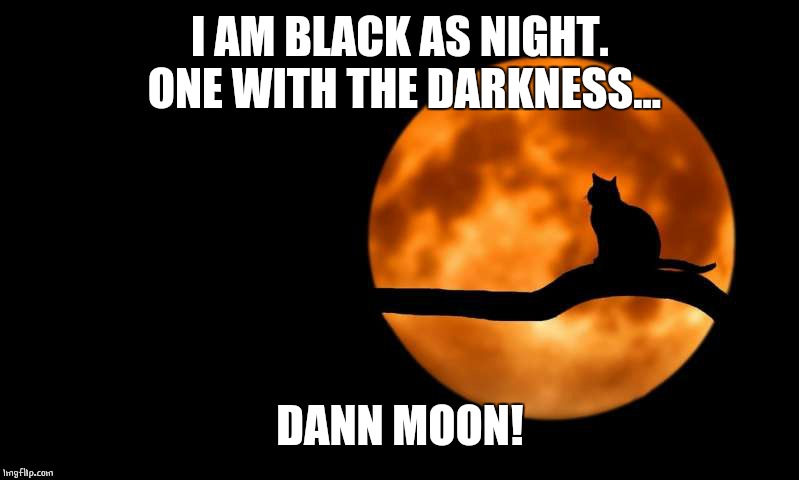 Damn it | I AM BLACK AS NIGHT. ONE WITH THE DARKNESS... DANN MOON! | image tagged in moon cat opportunities,cats | made w/ Imgflip meme maker