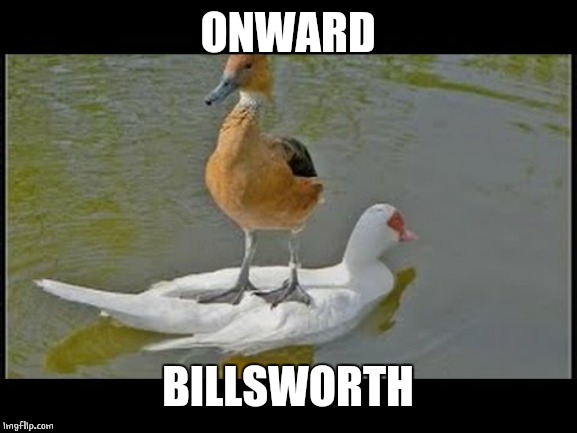 Onward | ONWARD; BILLSWORTH | image tagged in duck,ducks | made w/ Imgflip meme maker