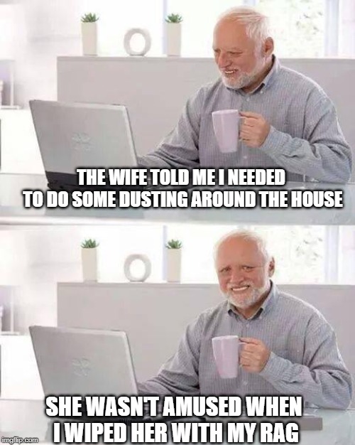 She was not amused | THE WIFE TOLD ME I NEEDED TO DO SOME DUSTING AROUND THE HOUSE; SHE WASN'T AMUSED WHEN I WIPED HER WITH MY RAG | image tagged in memes,hide the pain harold | made w/ Imgflip meme maker