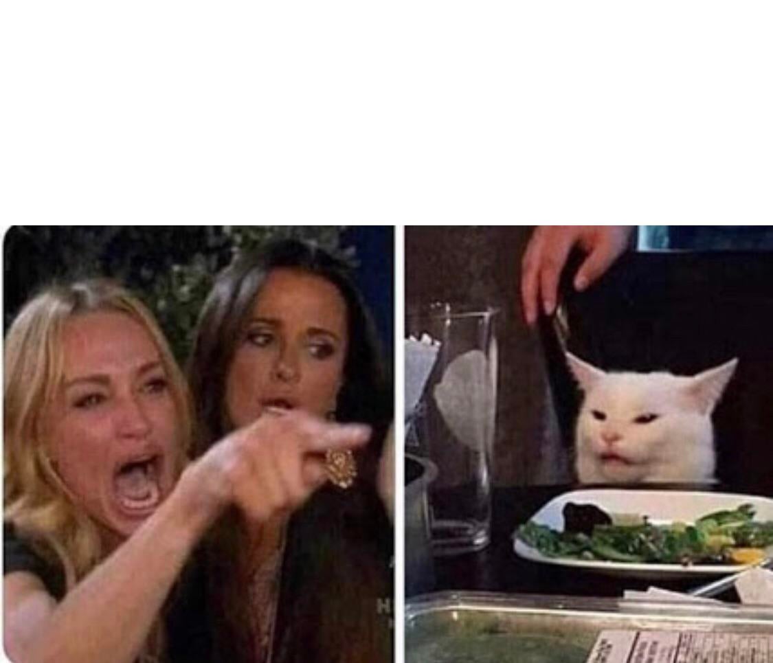 Lady Screams At Cat Blank Template Imgflip