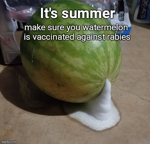 Foaming watermelon | make sure you watermelon is vaccinated against rabies; It's summer | image tagged in foaming watermelon,vegetables,humor | made w/ Imgflip meme maker