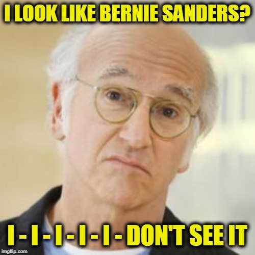 Larry David Risk | I LOOK LIKE BERNIE SANDERS? I - I - I - I - I - DON'T SEE IT | image tagged in larry david risk | made w/ Imgflip meme maker