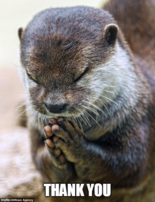 Thank you Lord Otter | THANK YOU | image tagged in thank you lord otter | made w/ Imgflip meme maker