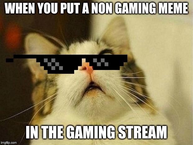 Scared Cat | WHEN YOU PUT A NON GAMING MEME; IN THE GAMING STREAM | image tagged in memes,scared cat | made w/ Imgflip meme maker