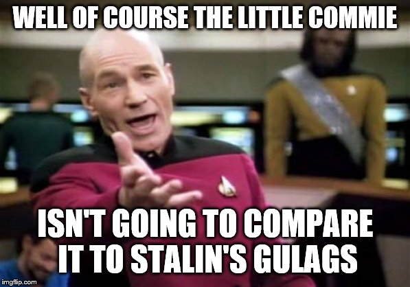 Picard Wtf Meme | WELL OF COURSE THE LITTLE COMMIE ISN'T GOING TO COMPARE IT TO STALIN'S GULAGS | image tagged in memes,picard wtf | made w/ Imgflip meme maker