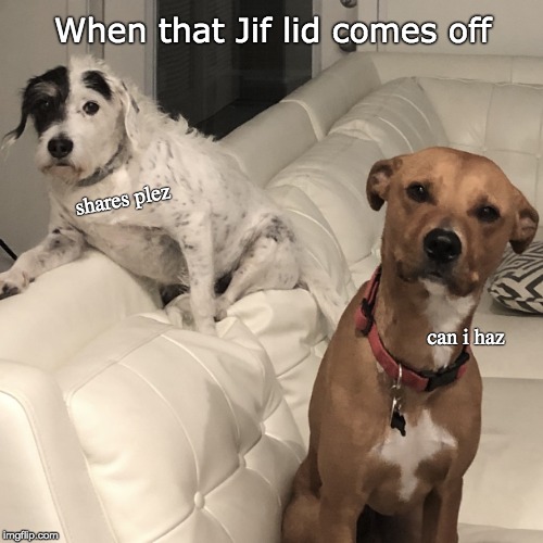 PeanutButterz | When that Jif lid comes off; shares plez; can i haz | image tagged in abbiegailblue and omega too,jif,peanut butter,dogs,funny | made w/ Imgflip meme maker