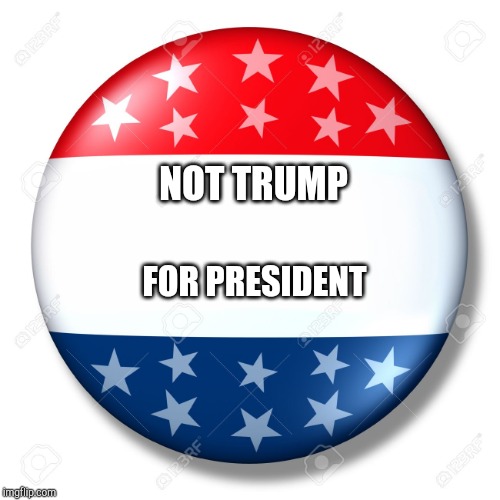 Blank for president | NOT TRUMP FOR PRESIDENT | image tagged in blank for president | made w/ Imgflip meme maker