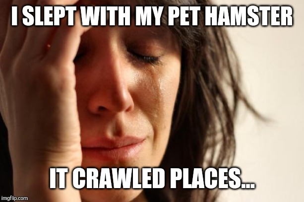 First World Problems Meme | I SLEPT WITH MY PET HAMSTER IT CRAWLED PLACES... | image tagged in memes,first world problems | made w/ Imgflip meme maker