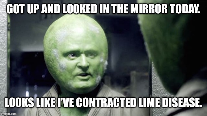 Lime disease man | GOT UP AND LOOKED IN THE MIRROR TODAY. LOOKS LIKE I’VE CONTRACTED LIME DISEASE. | image tagged in justin timberlake,lime,disease | made w/ Imgflip meme maker