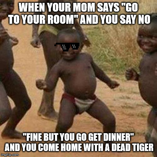 Third World Success Kid Meme | WHEN YOUR MOM SAYS "GO TO YOUR ROOM" AND YOU SAY NO; "FINE BUT YOU GO GET DINNER" AND YOU COME HOME WITH A DEAD TIGER | image tagged in memes,third world success kid | made w/ Imgflip meme maker