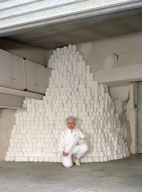 mountain of toilet paper Blank Meme Template