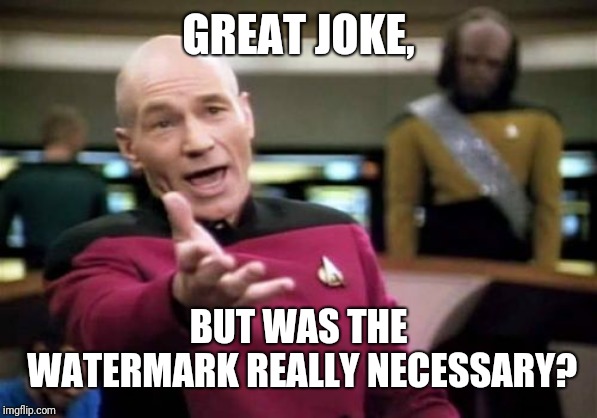 Picard Wtf Meme | GREAT JOKE, BUT WAS THE WATERMARK REALLY NECESSARY? | image tagged in memes,picard wtf | made w/ Imgflip meme maker