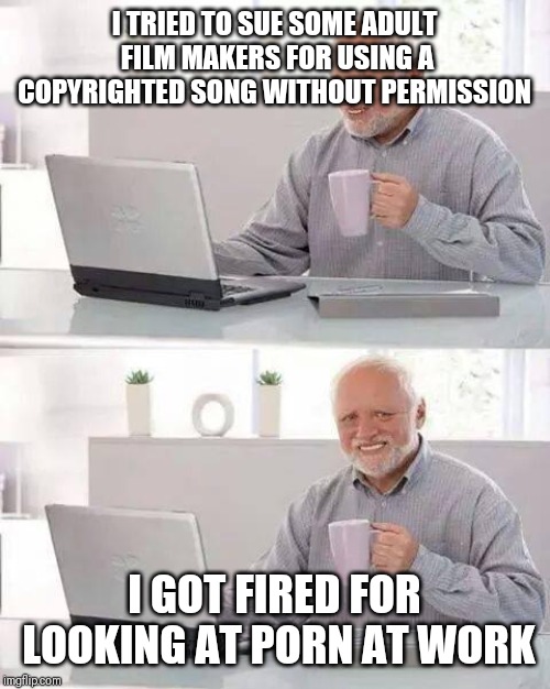 Oh, harold... | I TRIED TO SUE SOME ADULT FILM MAKERS FOR USING A COPYRIGHTED SONG WITHOUT PERMISSION; I GOT FIRED FOR LOOKING AT PORN AT WORK | image tagged in memes,hide the pain harold | made w/ Imgflip meme maker