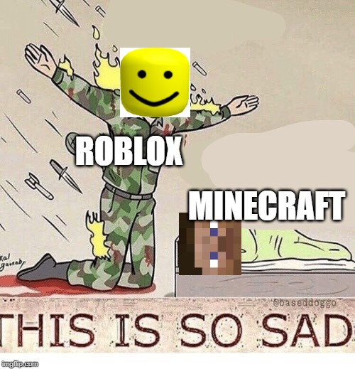 Soldier protecting sleeping child | ROBLOX; MINECRAFT | image tagged in soldier protecting sleeping child | made w/ Imgflip meme maker