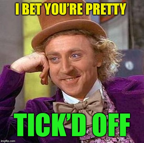 Creepy Condescending Wonka Meme | I BET YOU’RE PRETTY TICK’D OFF | image tagged in memes,creepy condescending wonka | made w/ Imgflip meme maker