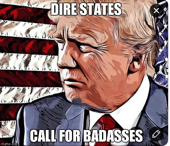 Dire States of America | DIRE STATES; CALL FOR BADASSES | image tagged in memes,trump badass | made w/ Imgflip meme maker