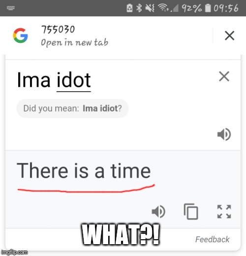 What?! | WHAT?! | image tagged in google translate,idiots,what | made w/ Imgflip meme maker