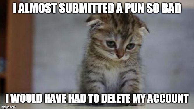 So Sunday right? | I ALMOST SUBMITTED A PUN SO BAD; I WOULD HAVE HAD TO DELETE MY ACCOUNT | image tagged in sad kitten,bad pun | made w/ Imgflip meme maker