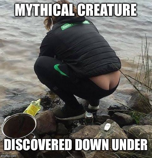"Hail to the Krakken" | MYTHICAL CREATURE; DISCOVERED DOWN UNDER | image tagged in funny memes | made w/ Imgflip meme maker
