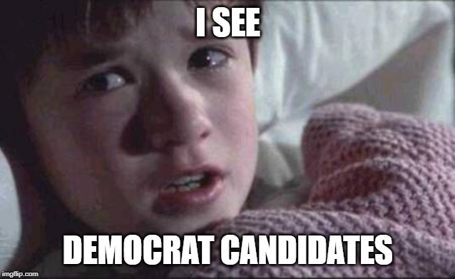 I See Dead People | I SEE; DEMOCRAT CANDIDATES | image tagged in memes,i see dead people | made w/ Imgflip meme maker