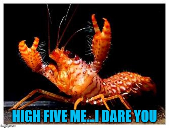 HIGH FIVE ME...I DARE YOU | made w/ Imgflip meme maker