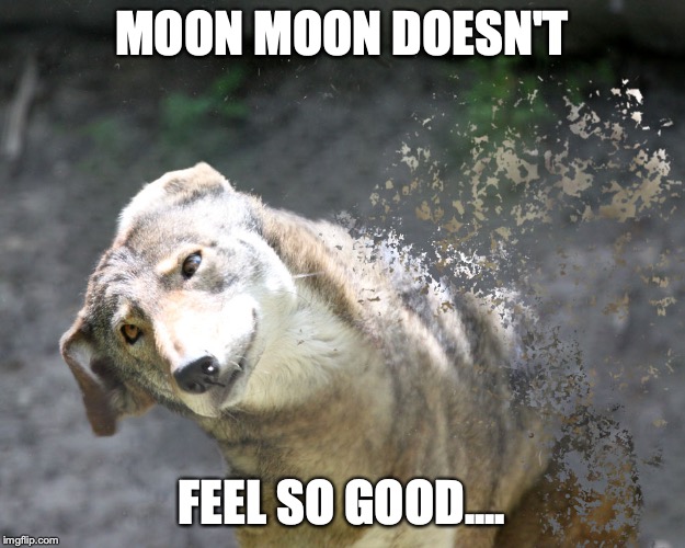 Moon don't feel so good | MOON MOON DOESN'T; FEEL SO GOOD.... | image tagged in moon don't feel so good | made w/ Imgflip meme maker