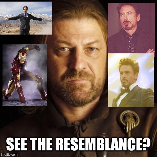 Tony ned stark game of thrones | SEE THE RESEMBLANCE? | image tagged in ned stark | made w/ Imgflip meme maker