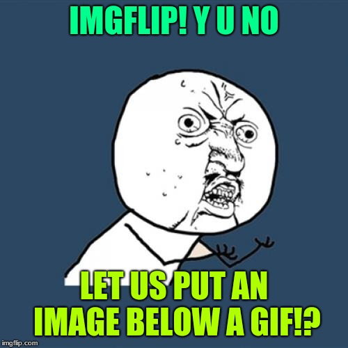 I'm not actually mad about it like this dude is ⬇️, just a suggestion. | IMGFLIP! Y U NO; LET US PUT AN IMAGE BELOW A GIF!? | image tagged in memes,y u no,imgflip,suggestion | made w/ Imgflip meme maker