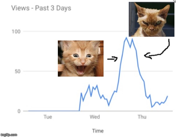 Relatable? (I mean, that moment when your just watching your meme slowly creep away from the front page....) | image tagged in memes,funny,relatable,stats,cats,angry cat | made w/ Imgflip meme maker