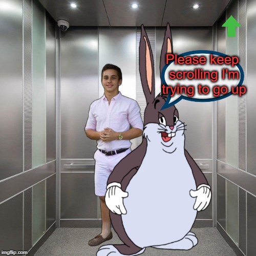 Going up? | Please keep scrolling I'm trying to go up | image tagged in memes,upvotes,bugs bunny,elevator | made w/ Imgflip meme maker