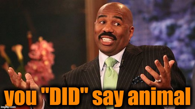 shrug | you "DID" say animal | image tagged in shrug | made w/ Imgflip meme maker