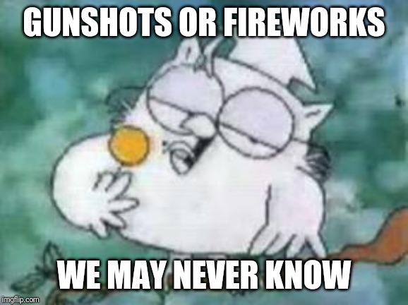 Tootsie Pop Owl | GUNSHOTS OR FIREWORKS; WE MAY NEVER KNOW | image tagged in tootsie pop owl | made w/ Imgflip meme maker