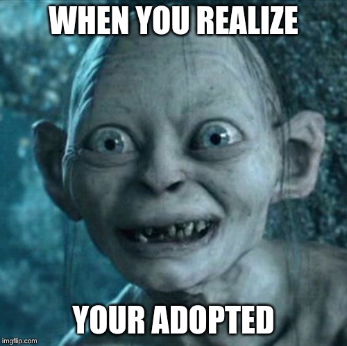 Gollum | WHEN YOU REALIZE; YOUR ADOPTED | image tagged in memes,gollum | made w/ Imgflip meme maker