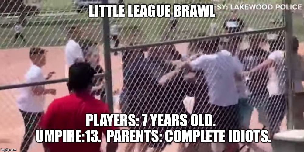 A few days ago in Lakewood, Colorado | LITTLE LEAGUE BRAWL; PLAYERS: 7 YEARS OLD.  UMPIRE:13.  PARENTS: COMPLETE IDIOTS. | image tagged in little league brawl | made w/ Imgflip meme maker