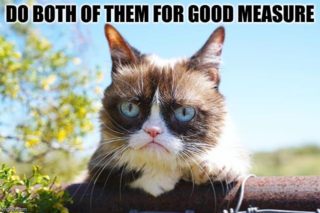 Grumpy Cat on a Tree | DO BOTH OF THEM FOR GOOD MEASURE | image tagged in grumpy cat on a tree | made w/ Imgflip meme maker