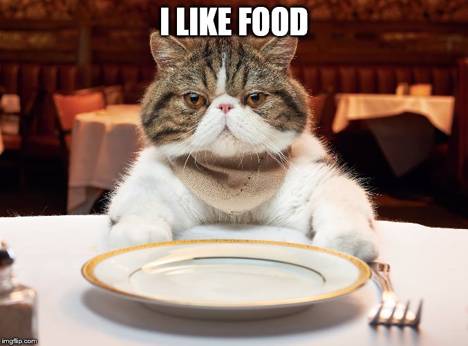 hungry cat | I LIKE FOOD | image tagged in hungry cat | made w/ Imgflip meme maker