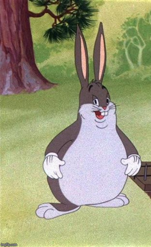 Big Chungus | image tagged in big chungus | made w/ Imgflip meme maker