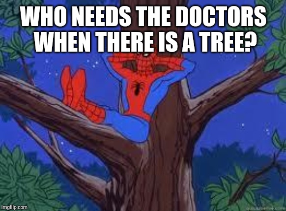 spiderman tree | WHO NEEDS THE DOCTORS WHEN THERE IS A TREE? | image tagged in spiderman tree | made w/ Imgflip meme maker