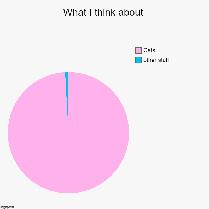 What I think about | other stuff, Cats | image tagged in charts,pie charts | made w/ Imgflip chart maker