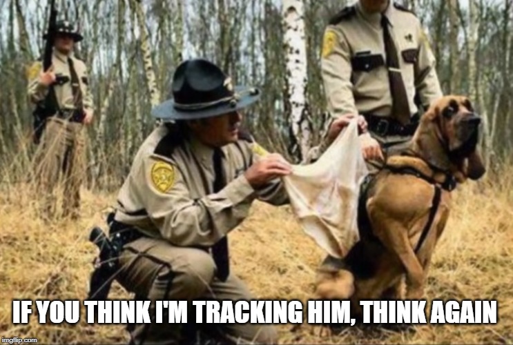 I've got the scent and it's not nice ! | IF YOU THINK I'M TRACKING HIM, THINK AGAIN | image tagged in scent,blodhound | made w/ Imgflip meme maker
